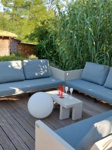 B&B / Chambres d'hotes Cocon de Verdure avec piscine chambre lit king-size 2m : photos des chambres