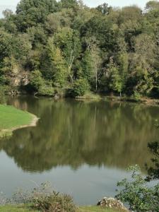 Maisons de vacances La petite Maison : photos des chambres