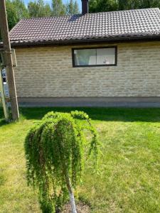 Atskiri apartamentai