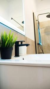 Komfortowy Apartament w Centrum