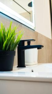 Komfortowy Apartament w Centrum