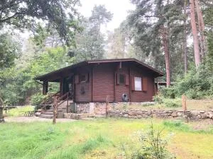 Ferienhaus Waldeule - Dannenberg