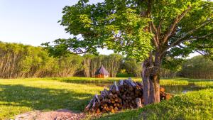 Agroturystyka Dzikie Stawy-Mazury