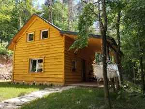 Domek w lesie - Brzozów