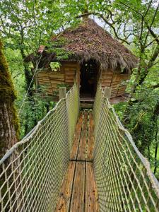 Campings Cabane Dans Les Arbres - Les Lutins : photos des chambres