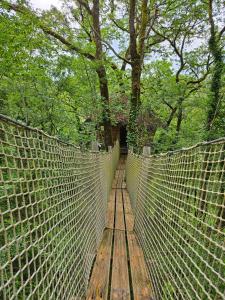 Campings Cabane Dans Les Arbres - Les Lutins : photos des chambres