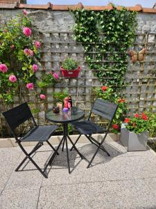 Appartements Studio avec jardin Rosendael proche plage : photos des chambres