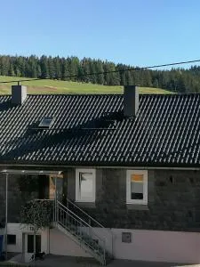 Große Ferienwohnung am Rennsteig - Igelshieb