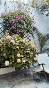 Pátio da Laranjeira