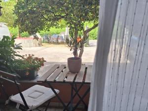 Wilson & Andrew House - Wanderlust