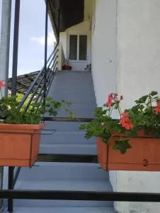 Banja Vrujci Apartmani Nikolic - Popadić