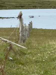 Seas the Day - self catering lodge North Uist