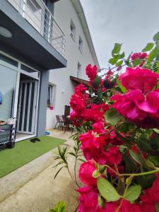 Студио Лозенец - 4hvězdičkové hotely ve městě Lozenec