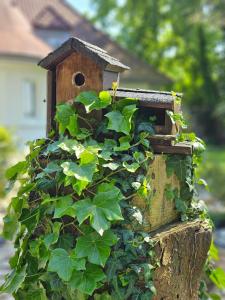 Appartements Terre et mer : photos des chambres