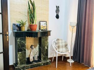 Zebra House Hurghada center