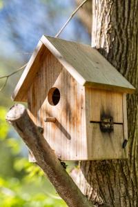 Chalet 16 pâquerette