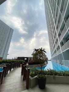 CELIA 3818 SMDC Coast Residences