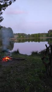 Leśna Chatka z prywatnym stawem, jezioro, sauna