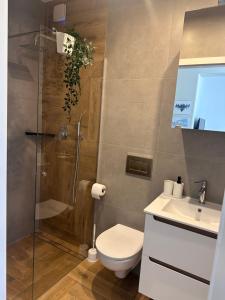 Apartamenty W Domu DeLux