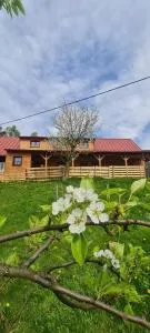 Chata u Vojta - Erdőtka