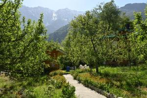 Cascade Mountain Retreat Manali