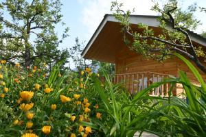 Cascade Mountain Retreat Manali