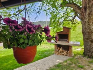 Brvnara ispod stare kruške