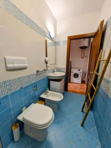 Olivastro Apartment Murta Maria img14