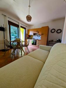 Olivastro Apartment Murta Maria img12