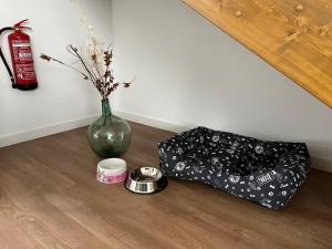 EL RINCÓN DEL NÓMADA