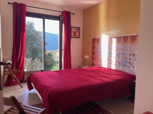 Villas Maison independante a Sainte-Lucie de Tallano : Villa 1 Chambre