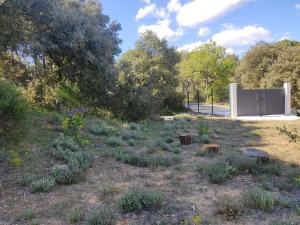 Appartements Studio dans la foret provencale : photos des chambres