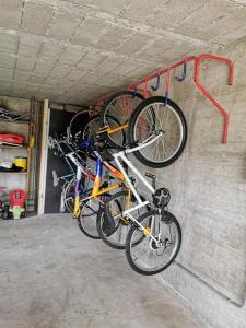 Le Temps des Cerises