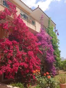 Paulina's House - Kondodhespótion