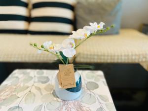 The base Central 466 by Numam