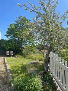 Mysig lägenhet, nära det mesta!