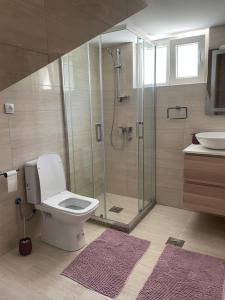 Apartman Pauza