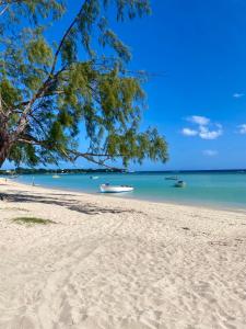 location bord de mer Albion ile Maurice