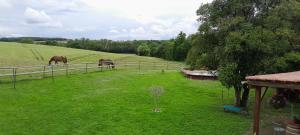 Maisons d'hotes A Larriou : photos des chambres