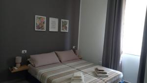 PALM House Affitta camere img6