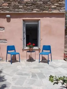 Blue Agave - Triandáros