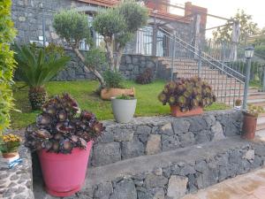 Blu Etna Casa Vacanze