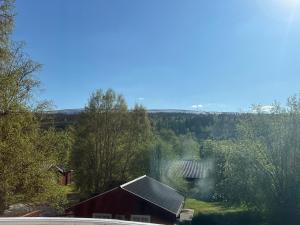 FJÄLLSTUGAN 29