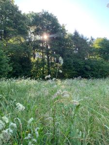 zaKRZYWEk wyjątkowy apartament w Krzywe kCisnej