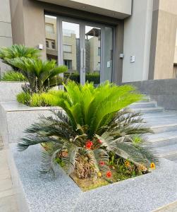 OMI Resdance silver palm