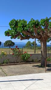 Nafpaktos The country home