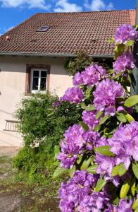B&B / Chambres d'hotes Maison d'hotes des Mondfanger : photos des chambres