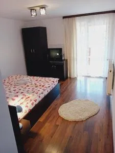 Pensiunea Dimitrie - Cacica