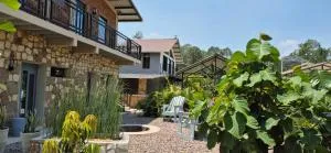 Tinyhouses and Tropical Gardens - San Ignacio