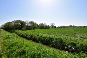 Haus Küstersmatt am Deich - Minsen